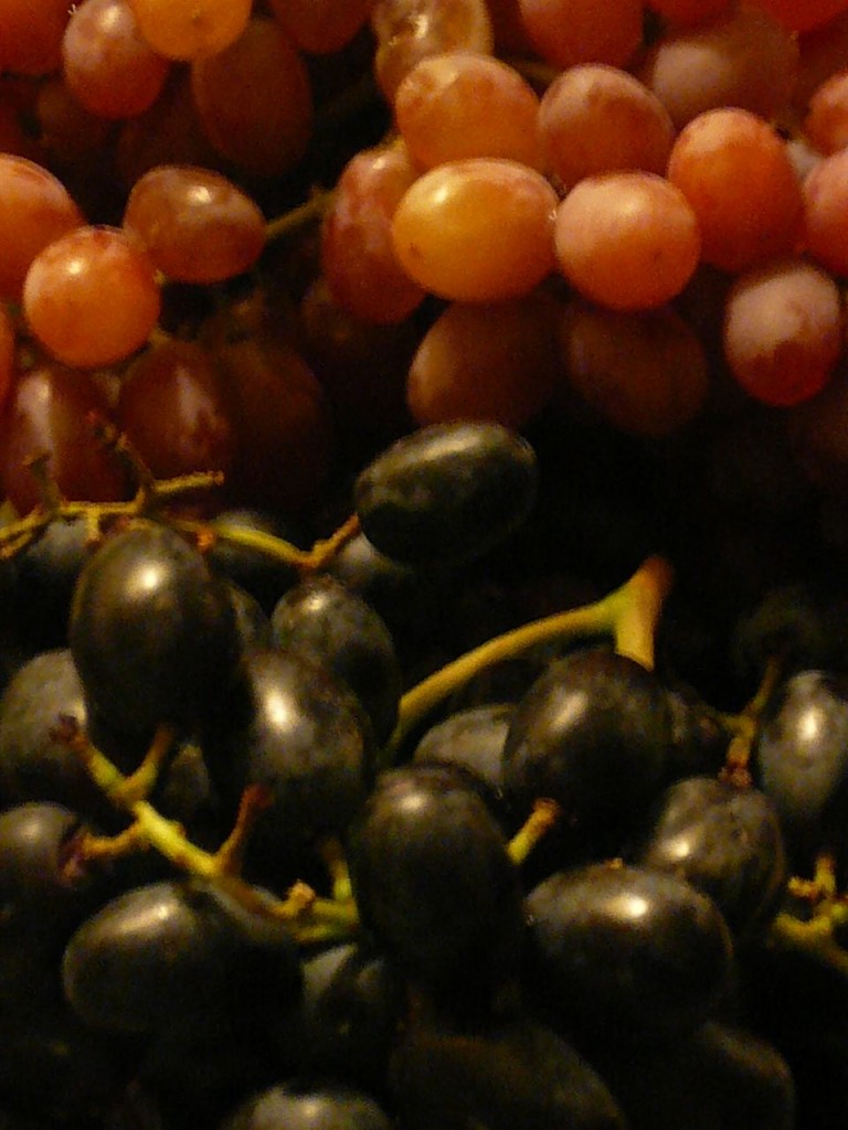 PICK_P1030906.jpg