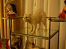 PICK_P1030952.jpg