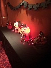 2016_conv_hosp_033.jpg