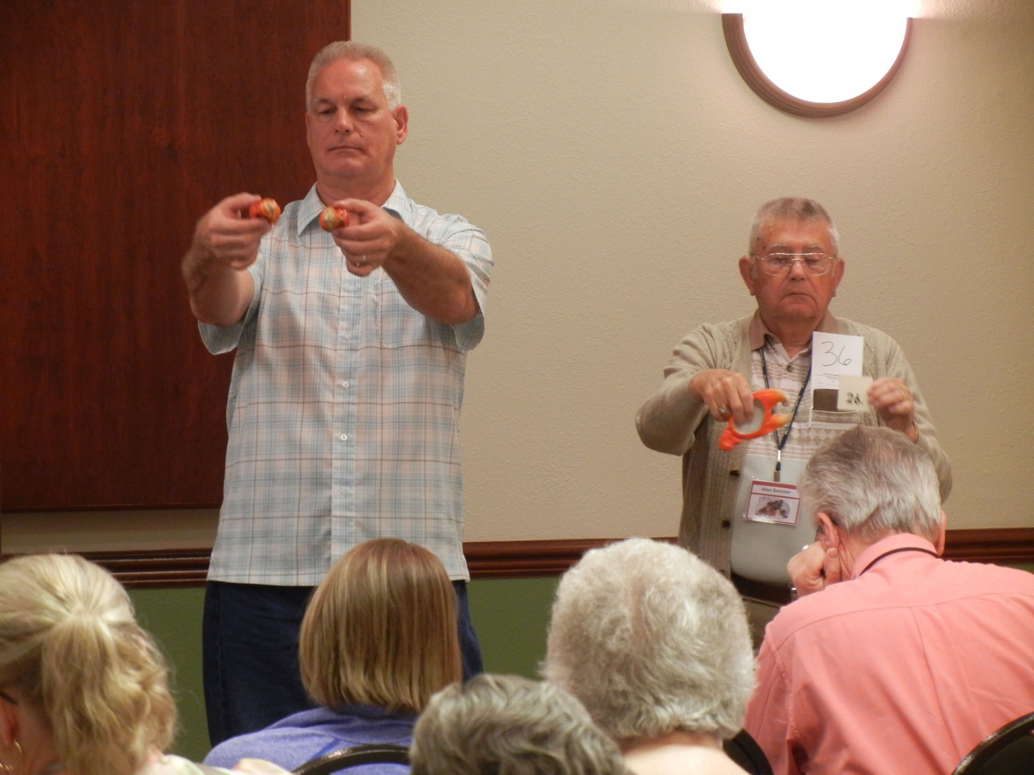 Auction_076.JPG