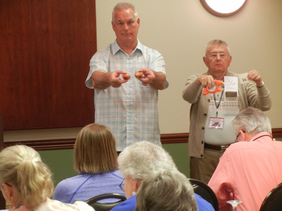 Auction_077.JPG