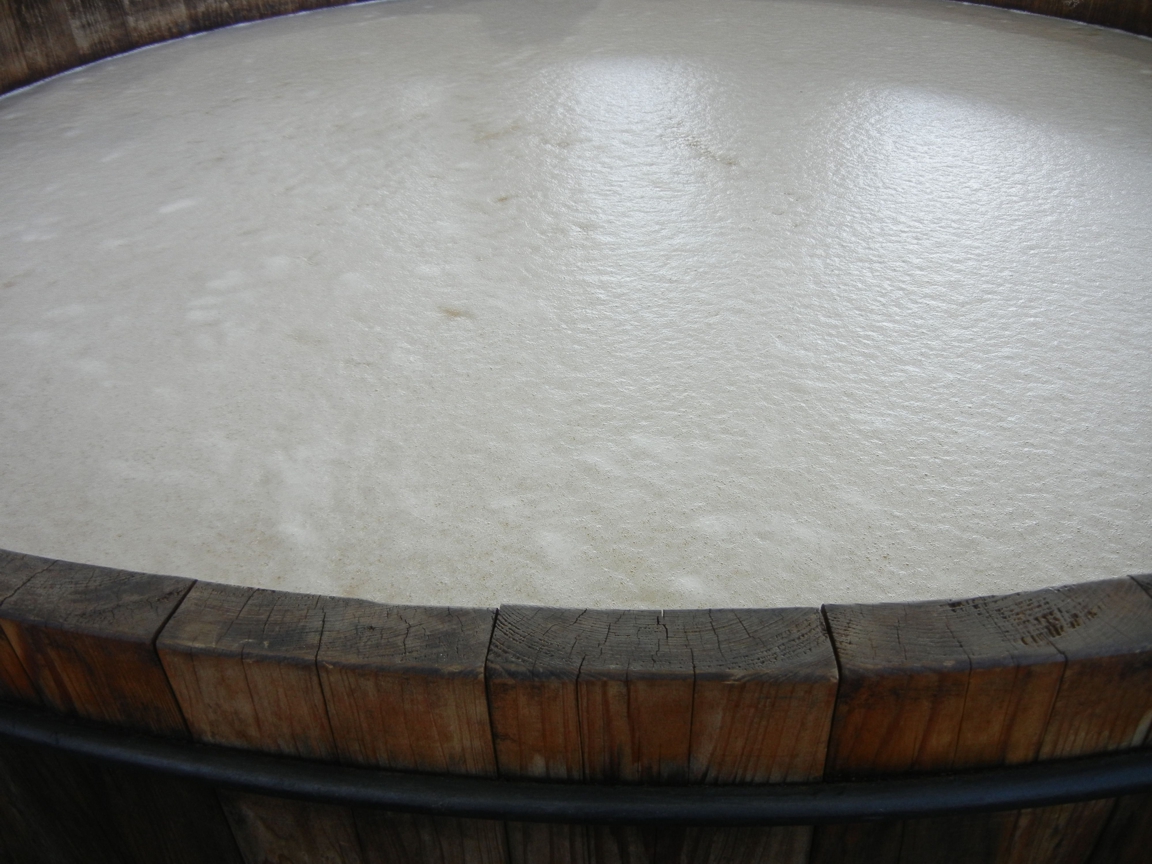Brew_099.JPG