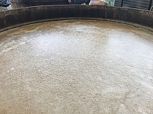 Brew_063.jpg