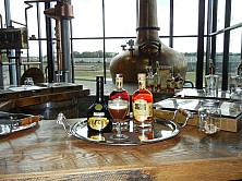 Brew_135.JPG