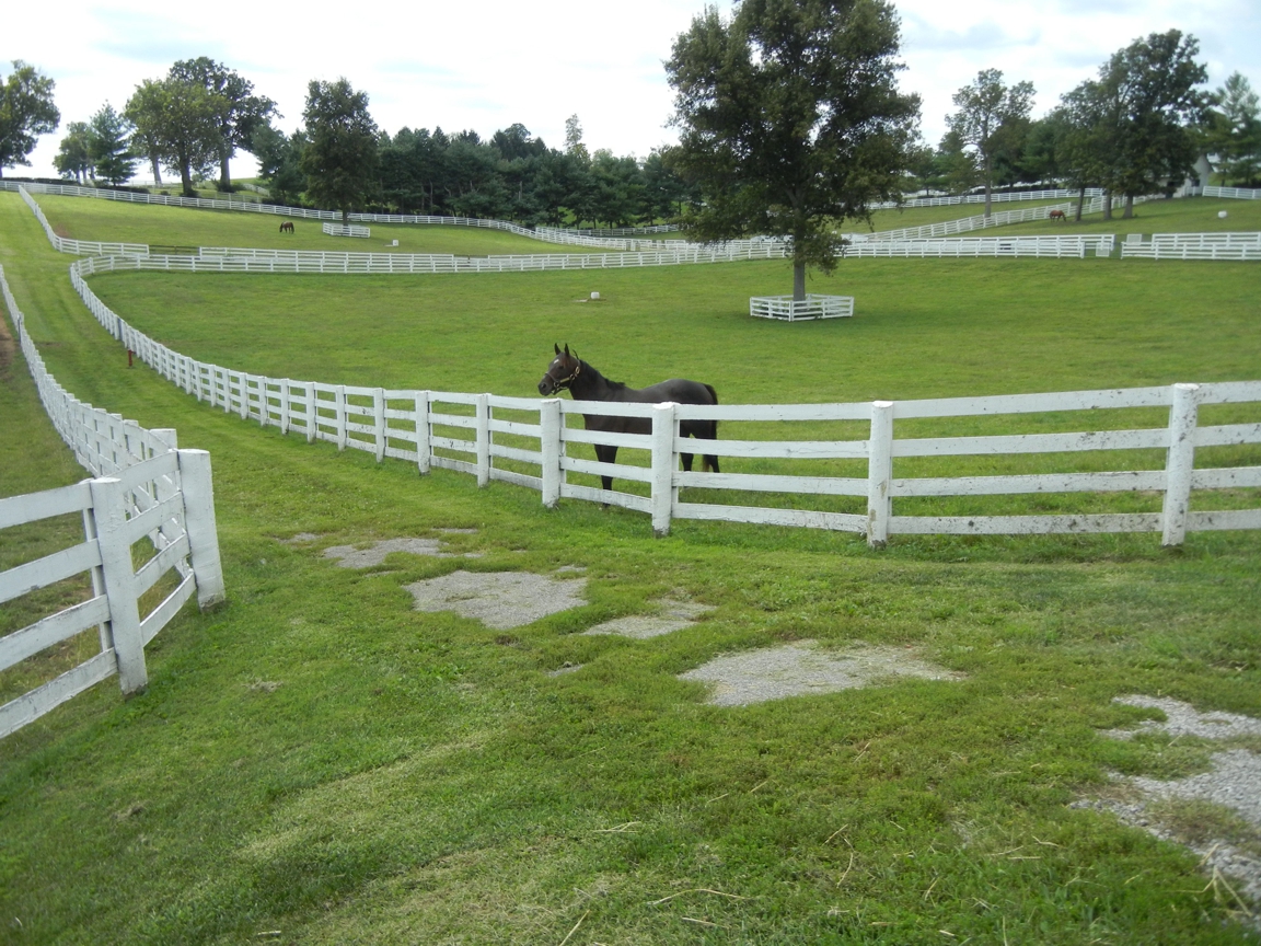 Horse_Farm_009.JPG