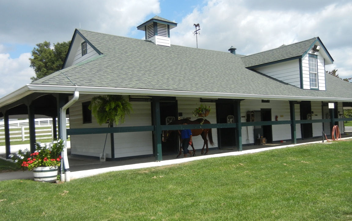 Horse_Farm_016.JPG