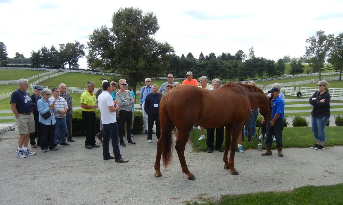 Horse_Farm_019.JPG