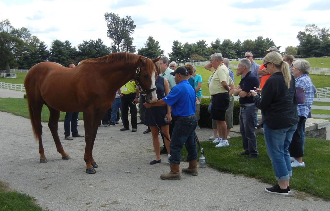 Horse_Farm_025.JPG
