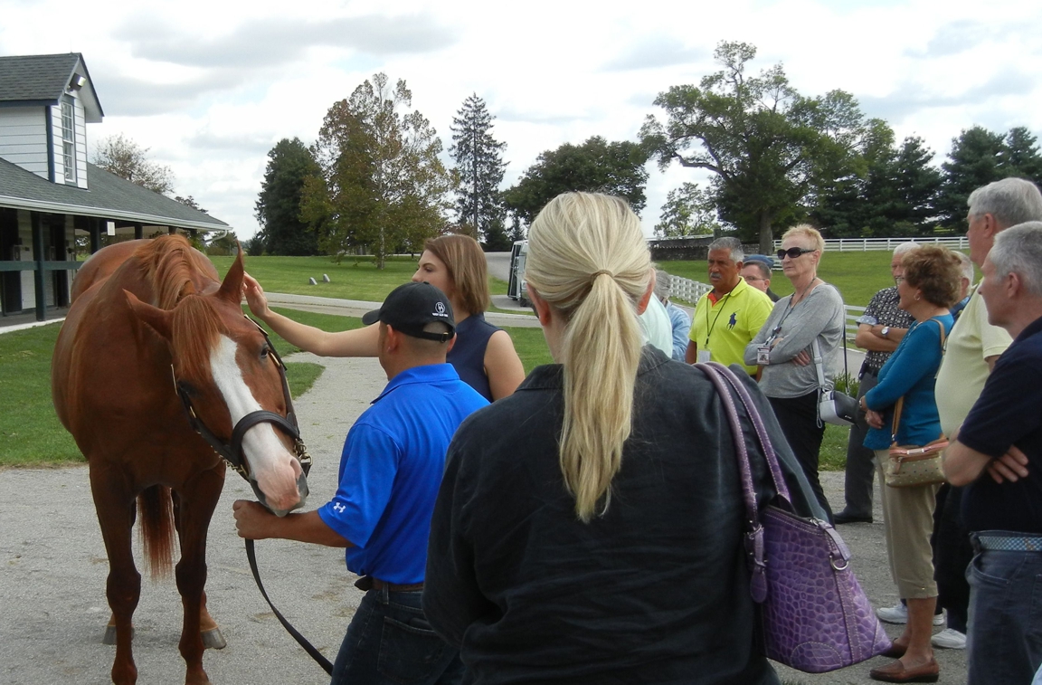 Horse_Farm_026.JPG