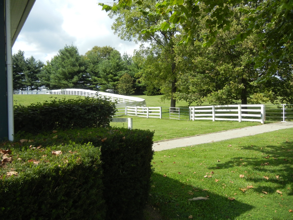 Horse_Farm_043.JPG