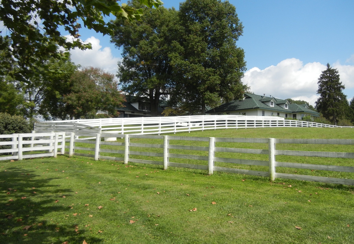 Horse_Farm_045.JPG