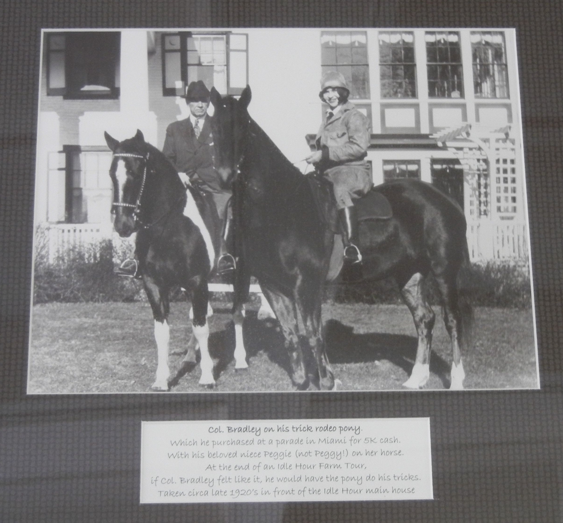 Horse_Farm_066.JPG