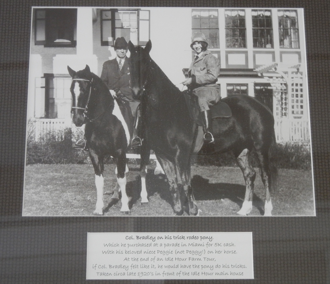 Horse_Farm_067.JPG