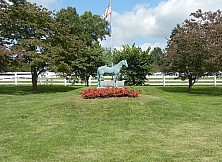 Horse_Farm_001.JPG