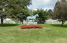 Horse_Farm_002.JPG