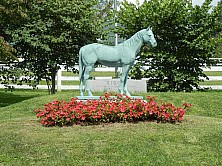Horse_Farm_004.JPG