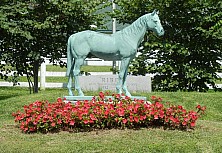 Horse_Farm_005.JPG