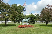 Horse_Farm_006.JPG