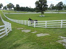 Horse_Farm_009.JPG