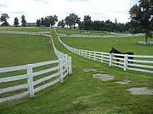 Horse_Farm_011.JPG