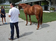 Horse_Farm_017.JPG