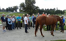 Horse_Farm_018.JPG