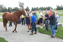 Horse_Farm_022.JPG