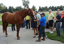 Horse_Farm_023.JPG