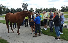 Horse_Farm_025.JPG
