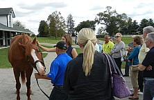 Horse_Farm_026.JPG