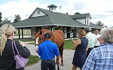 Horse_Farm_027.JPG