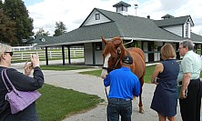 Horse_Farm_028.JPG
