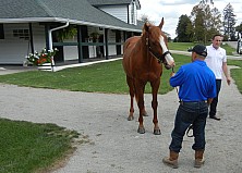 Horse_Farm_030.JPG