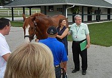 Horse_Farm_031.JPG