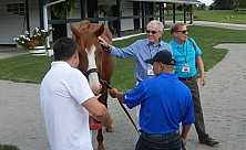 Horse_Farm_032.JPG