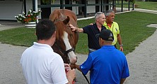 Horse_Farm_033.JPG