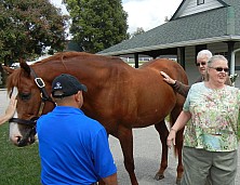 Horse_Farm_037.JPG