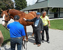 Horse_Farm_038.JPG