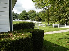 Horse_Farm_044.JPG