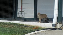 Horse_Farm_047.JPG