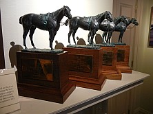 Horse_Farm_059.JPG
