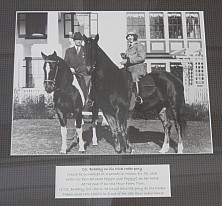 Horse_Farm_066.JPG