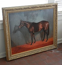 Horse_Farm_069.JPG