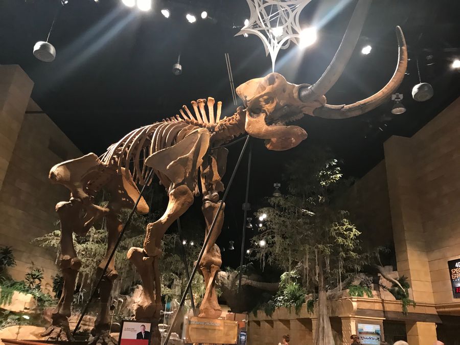 2018_MUSEUM_011.jpg