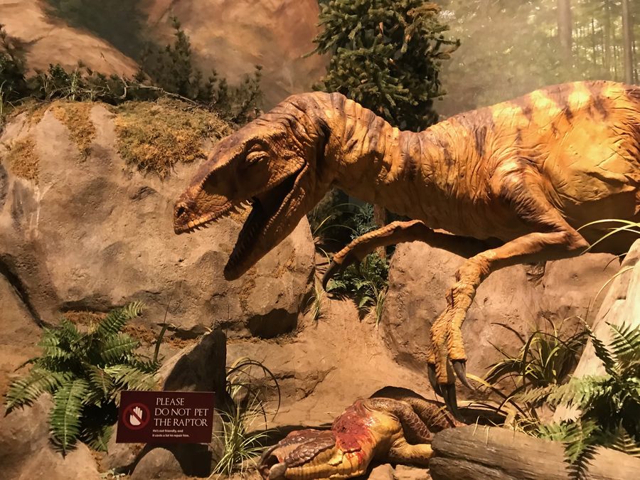 2018_MUSEUM_032.jpg