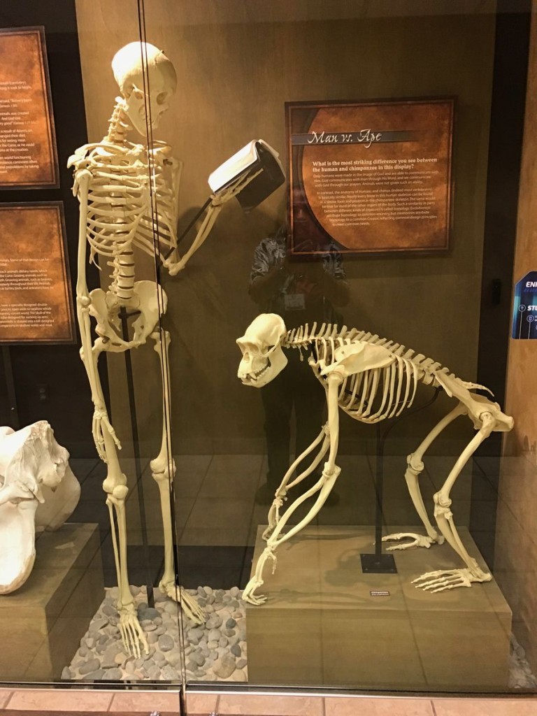 2018_MUSEUM_037.jpg