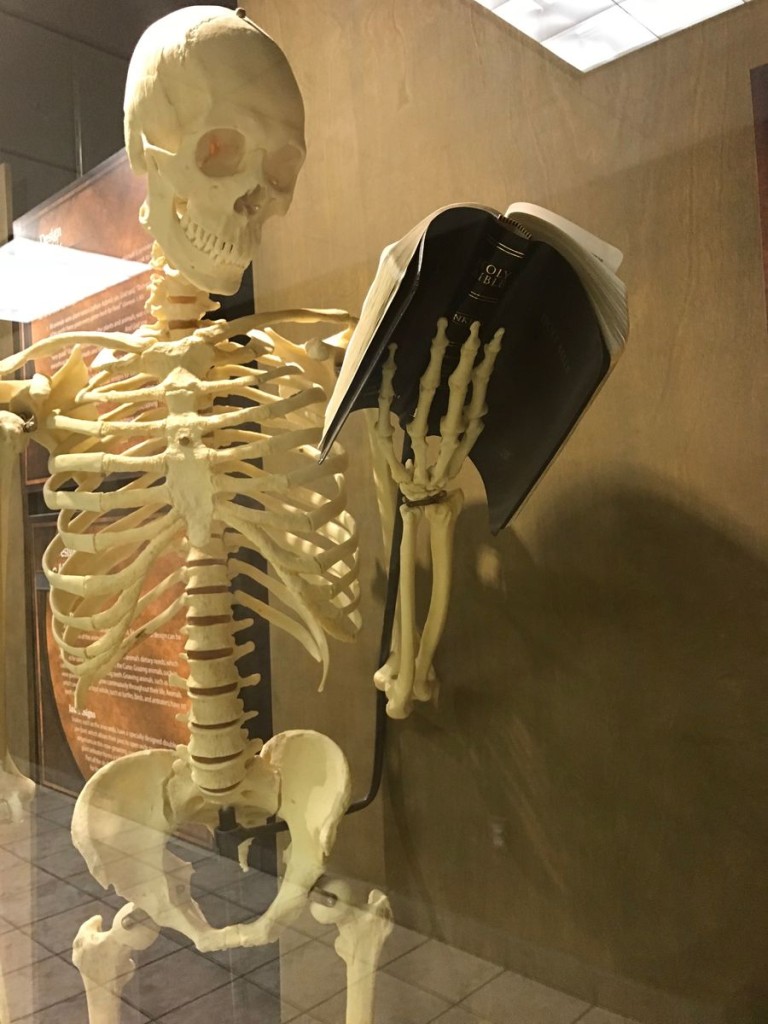 2018_MUSEUM_038.jpg