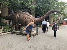 2018_MUSEUM_003.jpg
