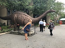 2018_MUSEUM_004.jpg