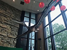 2018_MUSEUM_007.jpg